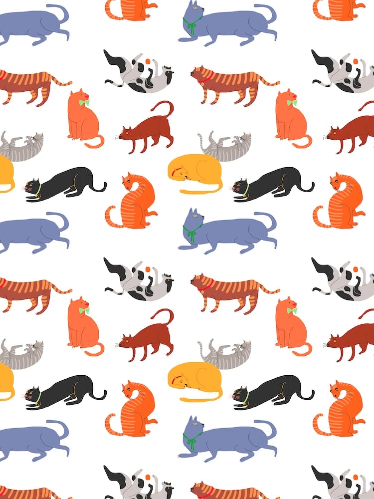 Cat Pattern