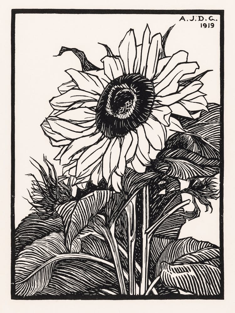 Sunflower, Julie De Graag