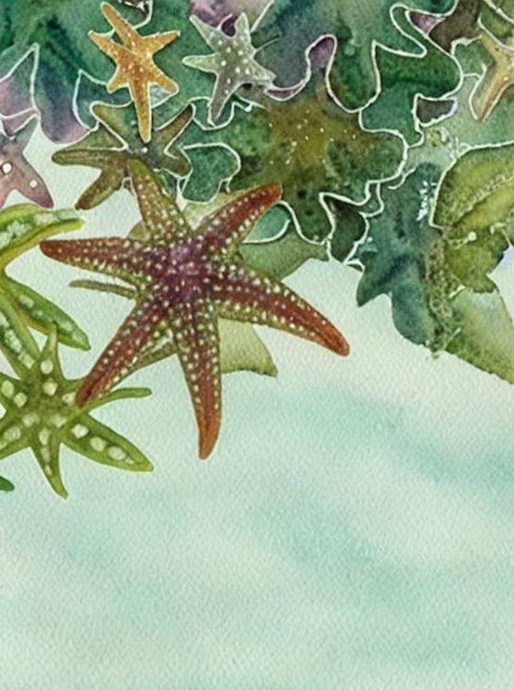 Sea Star (Starfish) Storybook Watercolour