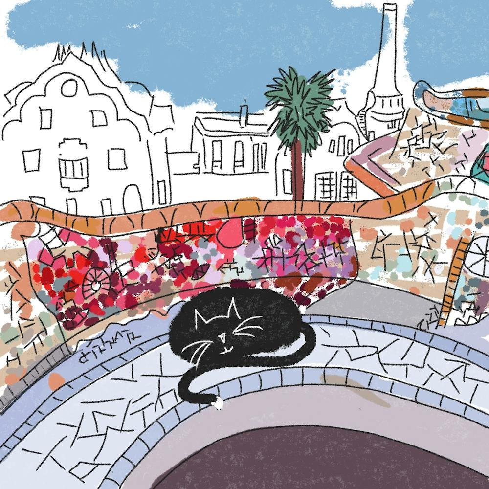 Cats adventure- Spain