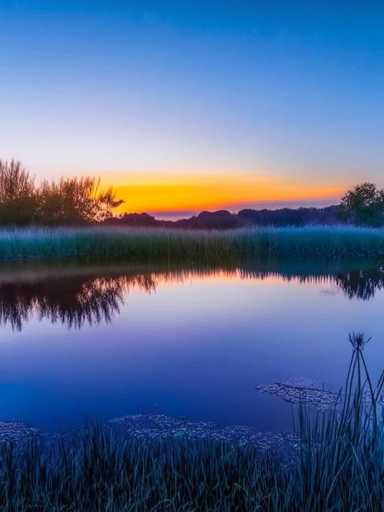 Sunrise Over Pond Waterscape Photography 1