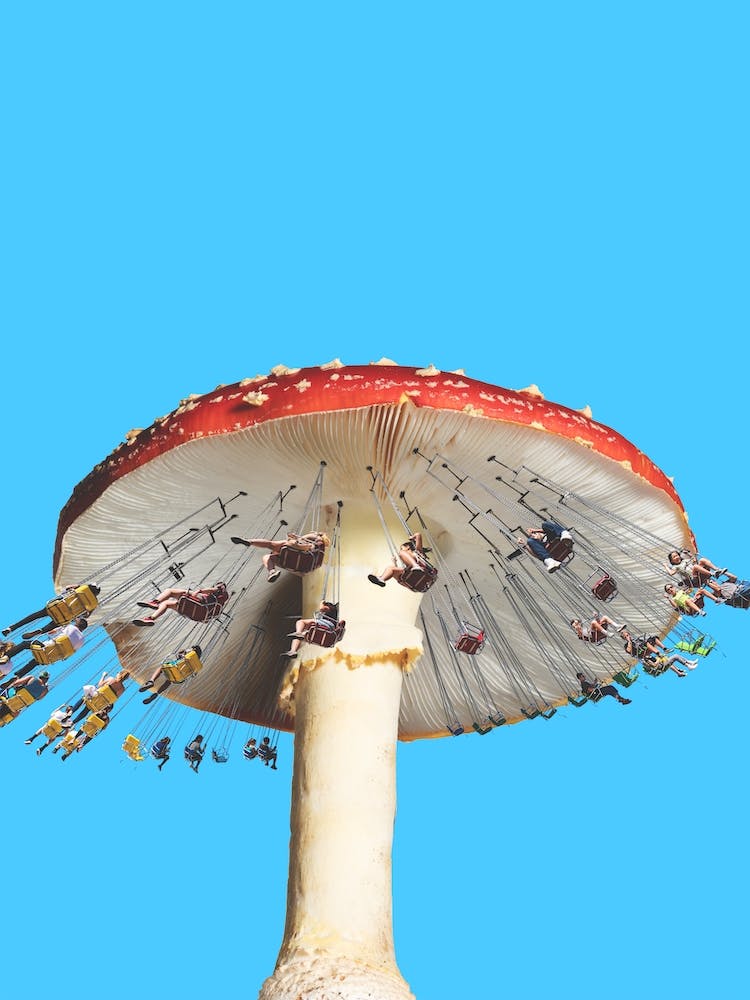 Amanita Carousel