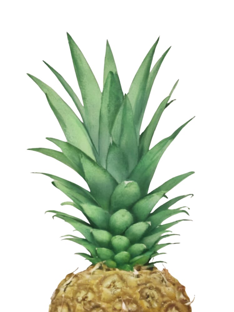 Pineapple II