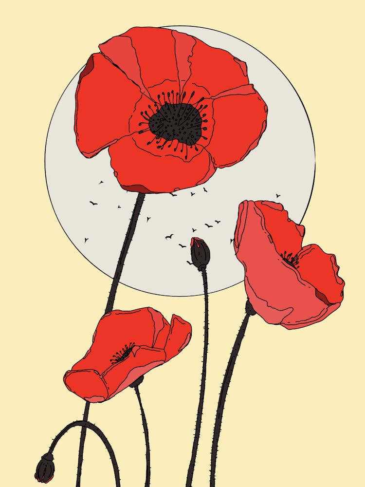 Poppies