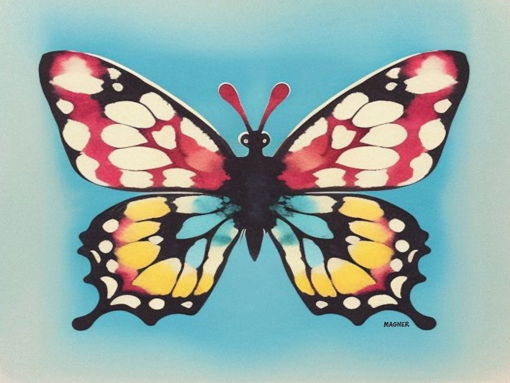 Butterfly