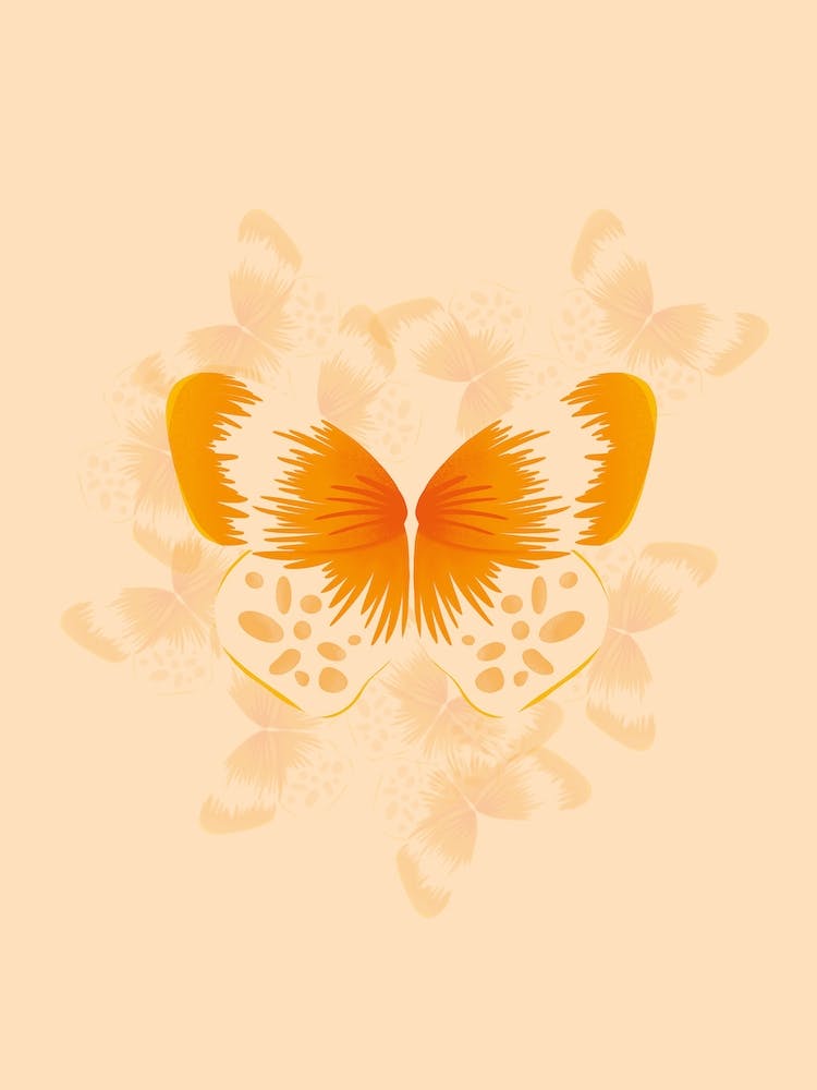 Orange Butterfly
