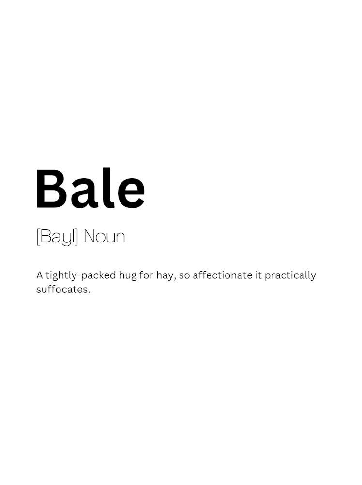 Bale Definition Meaning 1