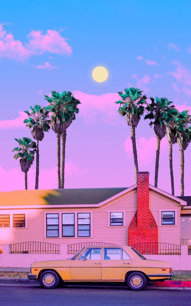 Palms And Car