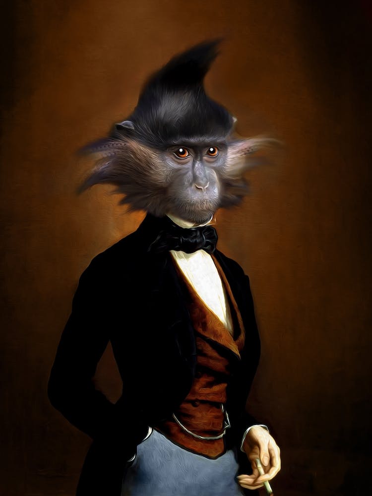 Mister Turin The Monkey Pet Portraits