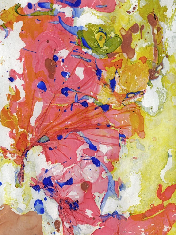 Flower Petals And Sunshine