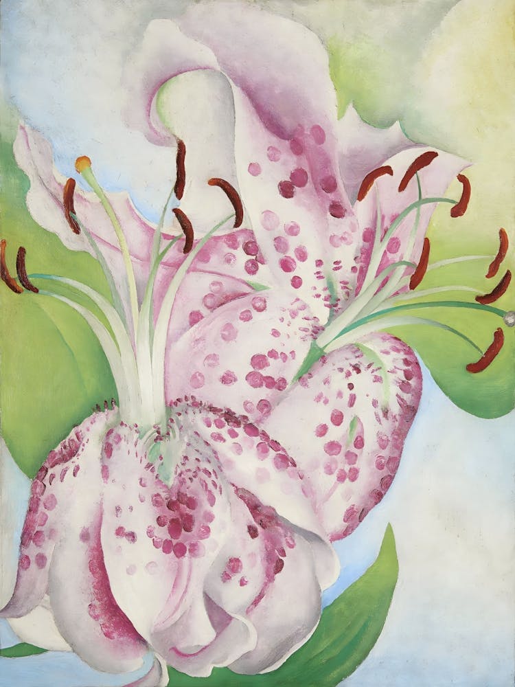 Georgia O'Keeffe - Pink Spotted Lily 1