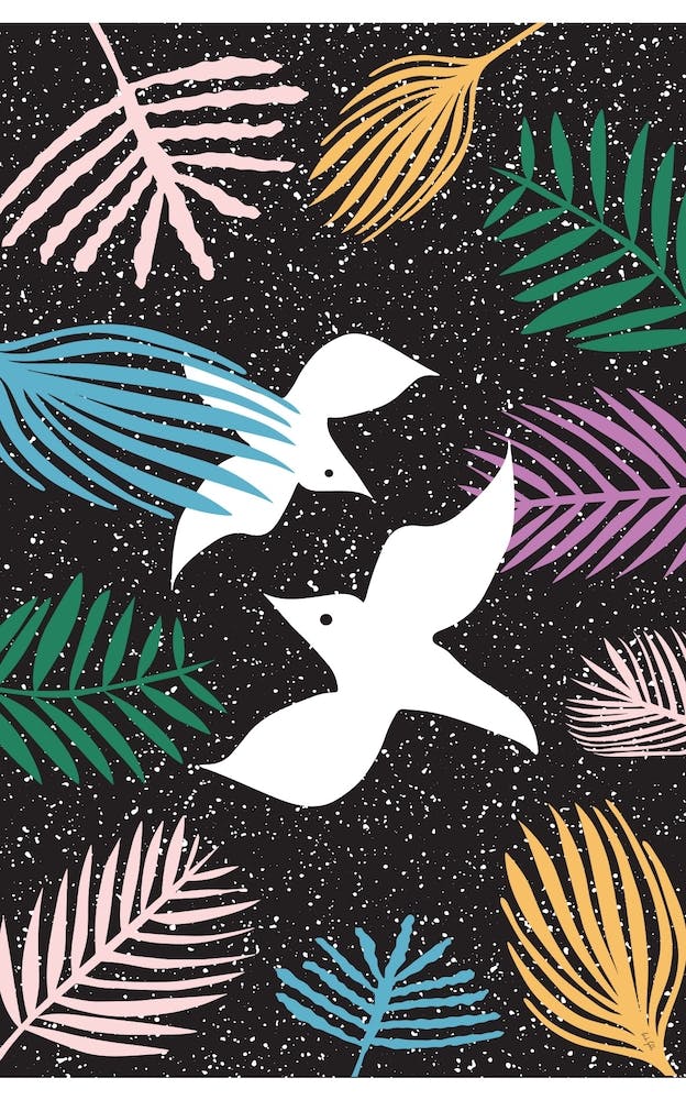 Birds Of Paradise