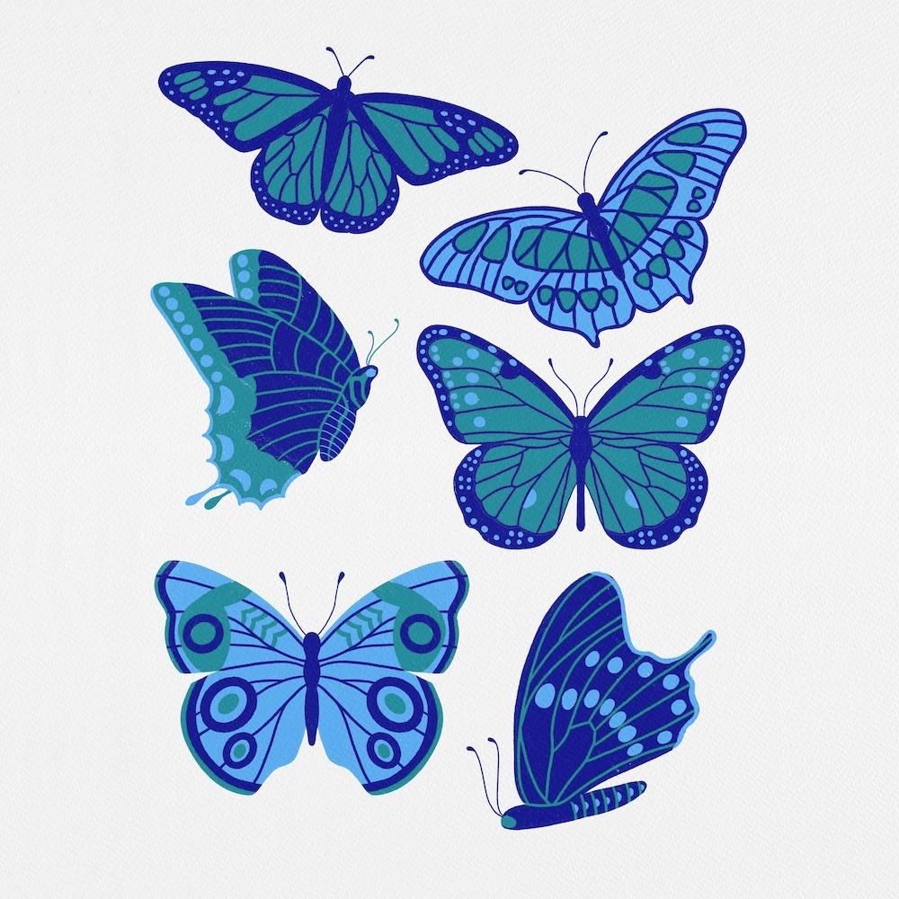 Texas Butterflies   Blue And Teal Square