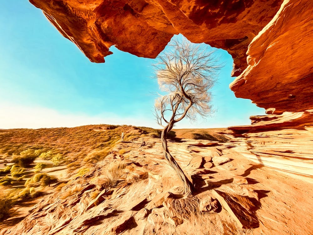 Sandstone Cliffs Australia