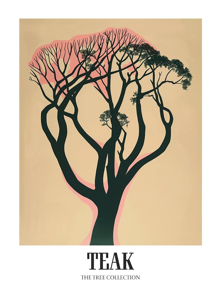 Teak Tree Colourful Illustration 4 Poster