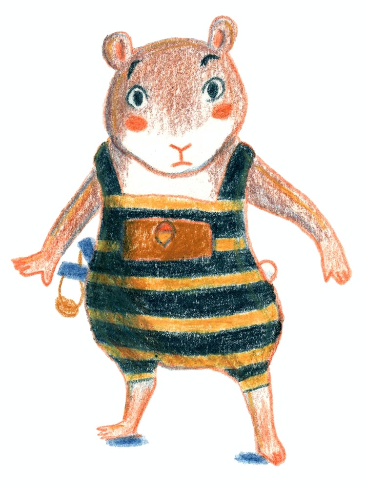 Hamster Boy Surprised