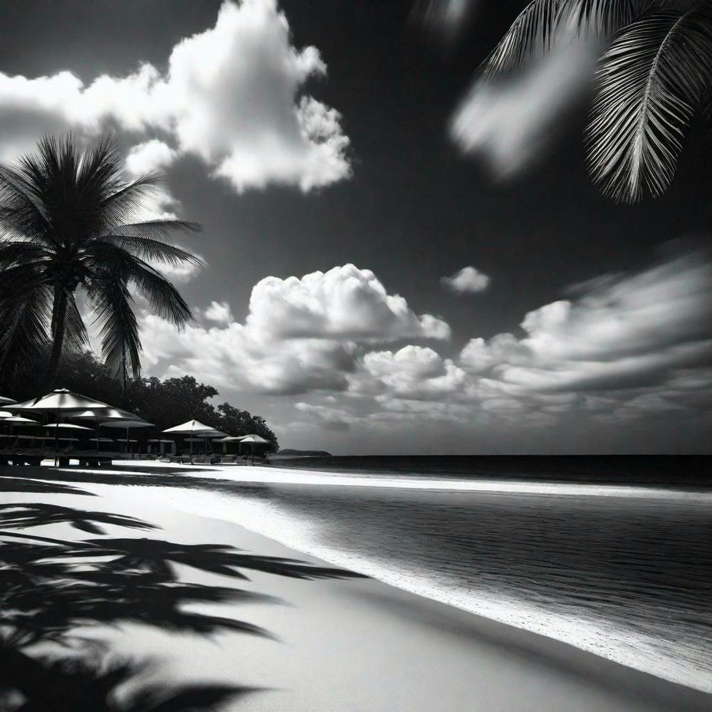 Black And White Beach 4