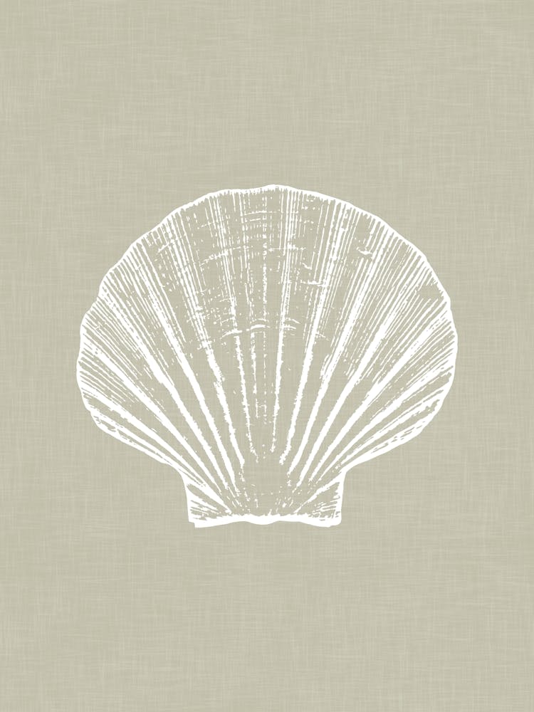 Vintage Sea Shell Silhouette In Taupe