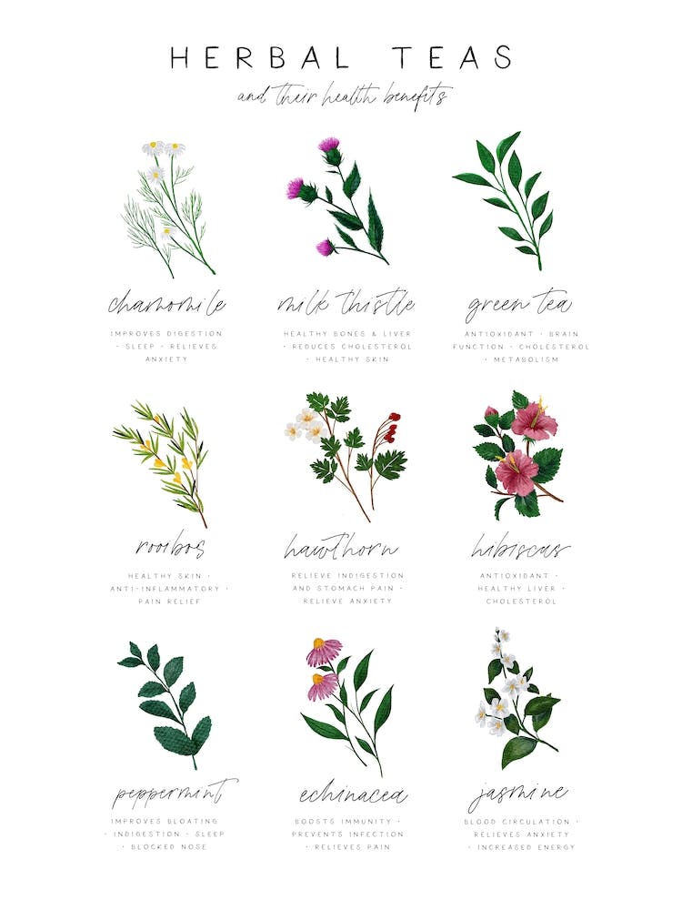 Herbal Teas And Their Health Benefits