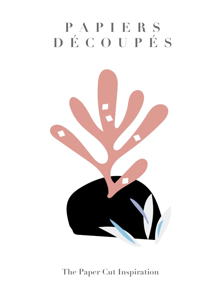 Papiers Decoupes   Musem Of Modern Art