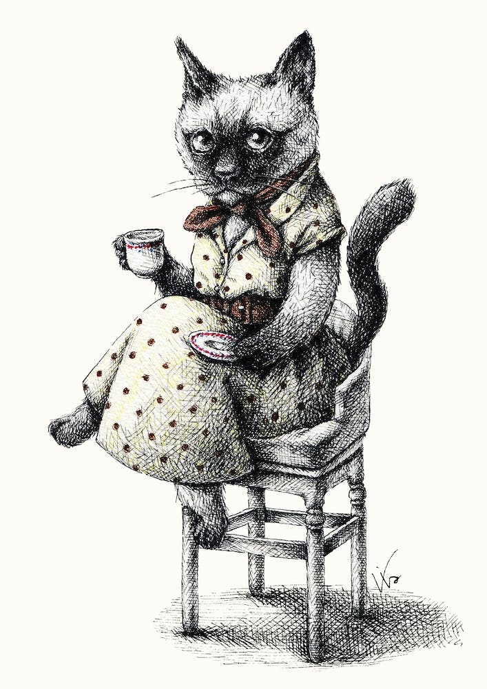 Portrait Of Lady Cat