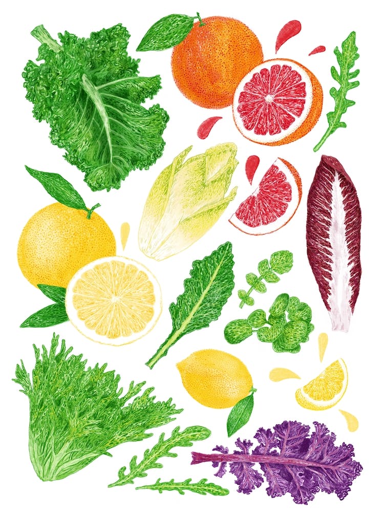 Bitter Foods