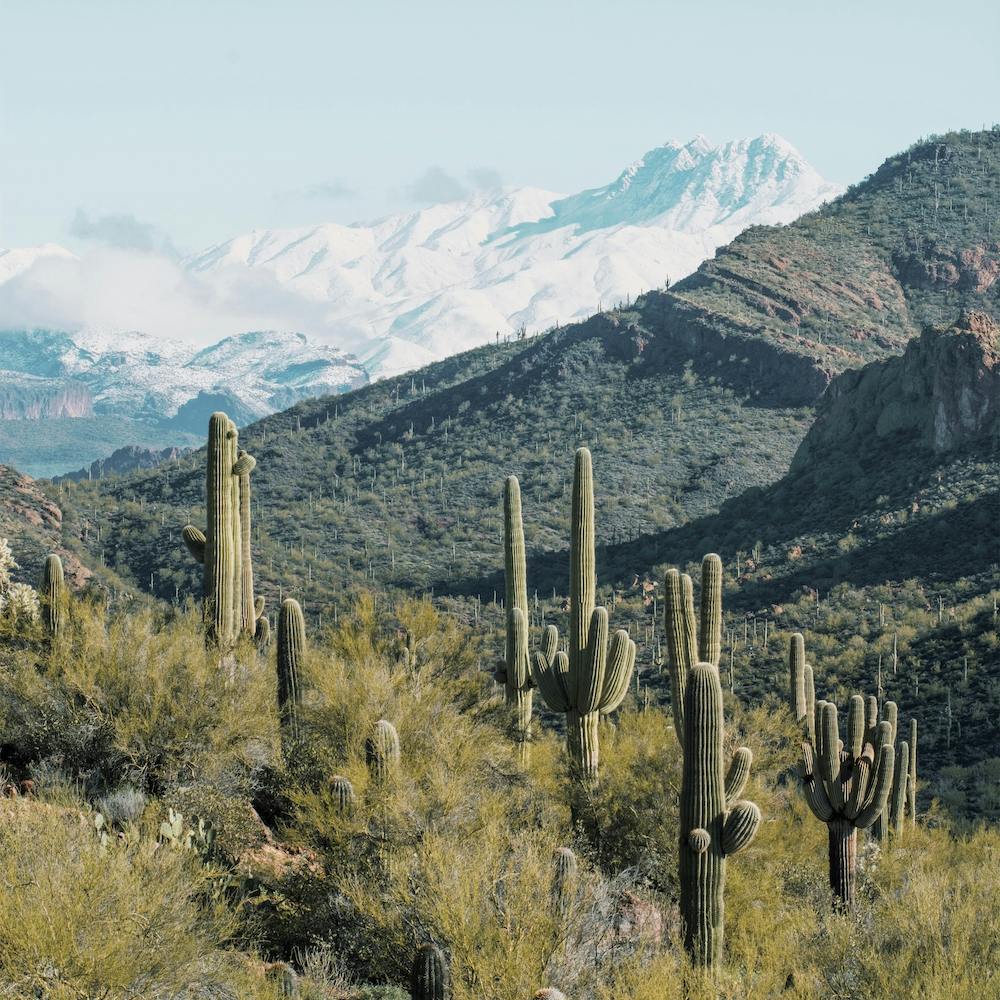 Snowy Desert Mountains