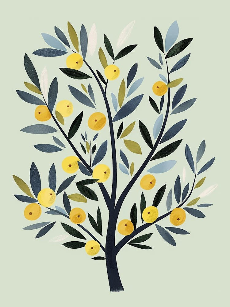 Olive Tree Flat Illustration 5