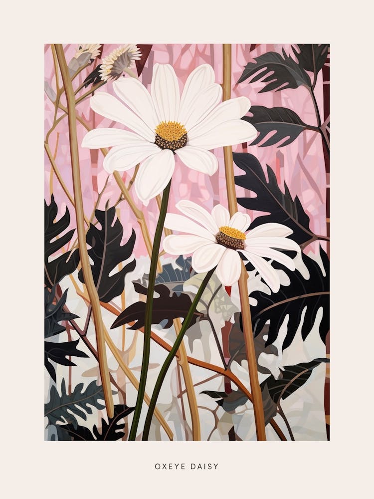 Flower Illustration Oxeye Daisy 3 Poster