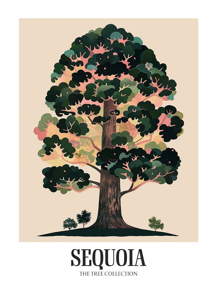 Sequoia Tree Colourful Illustration 4 Poster