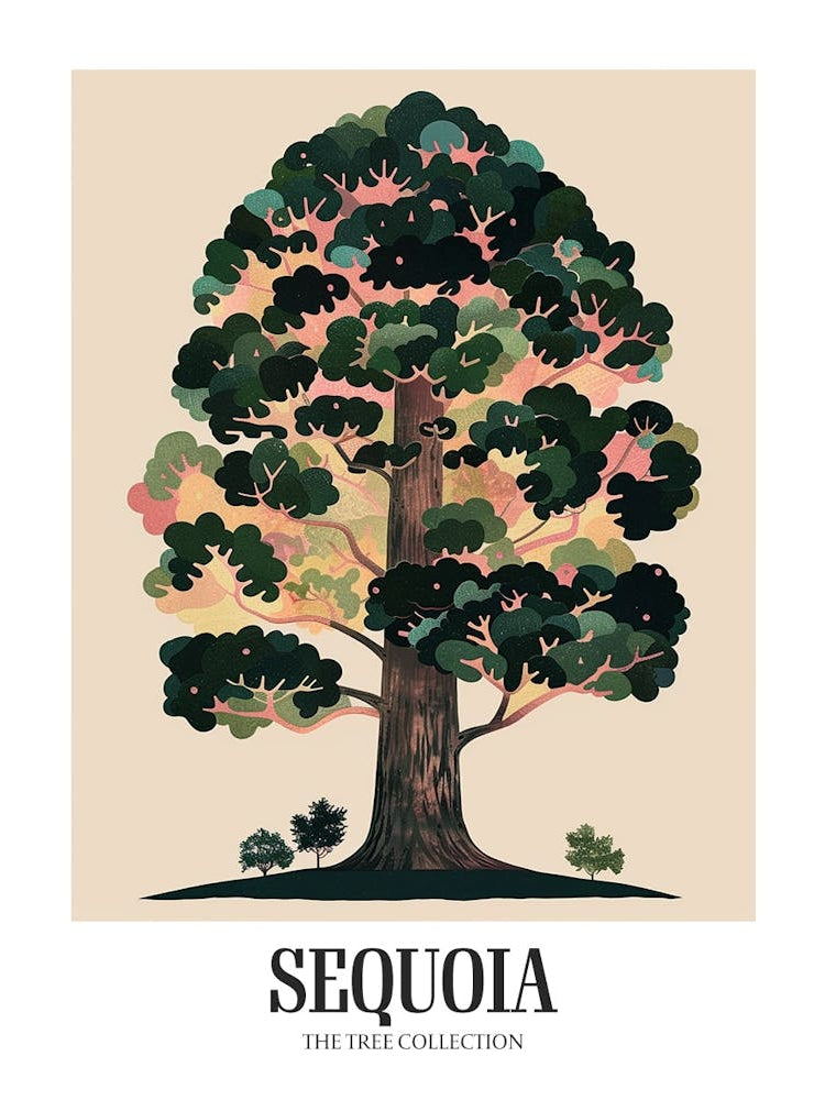 Sequoia Tree Colourful Illustration 4 Poster