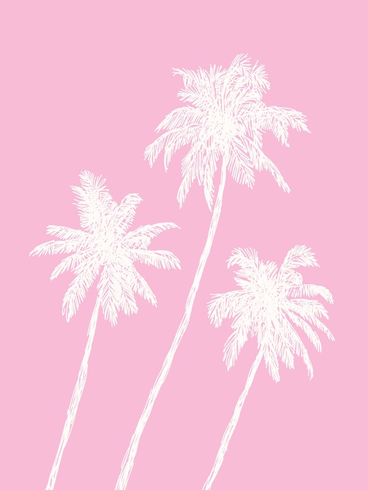 Palm Trees Pink
