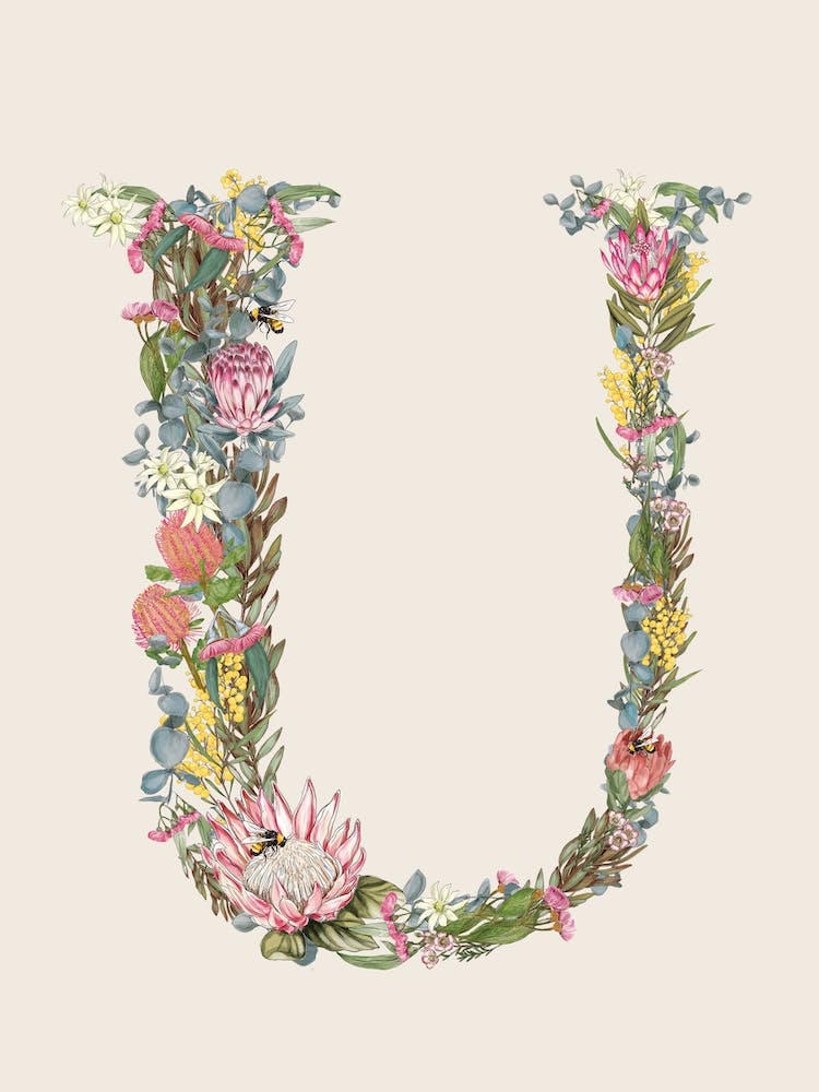 U Oat Alphabet Letter