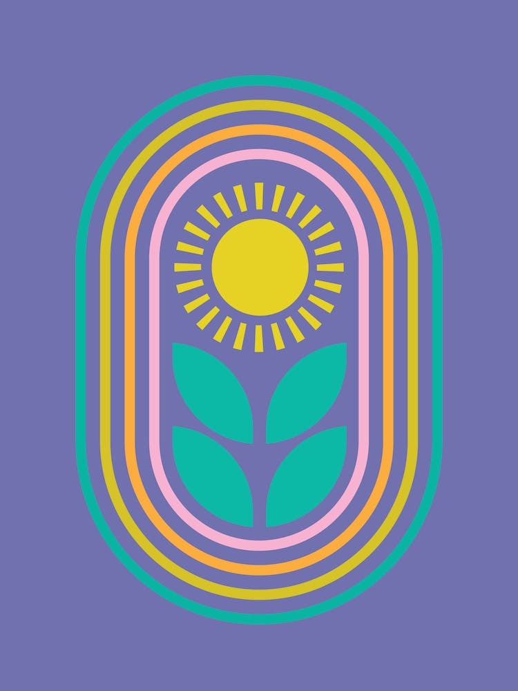 Rainbow Sunflower Nursery