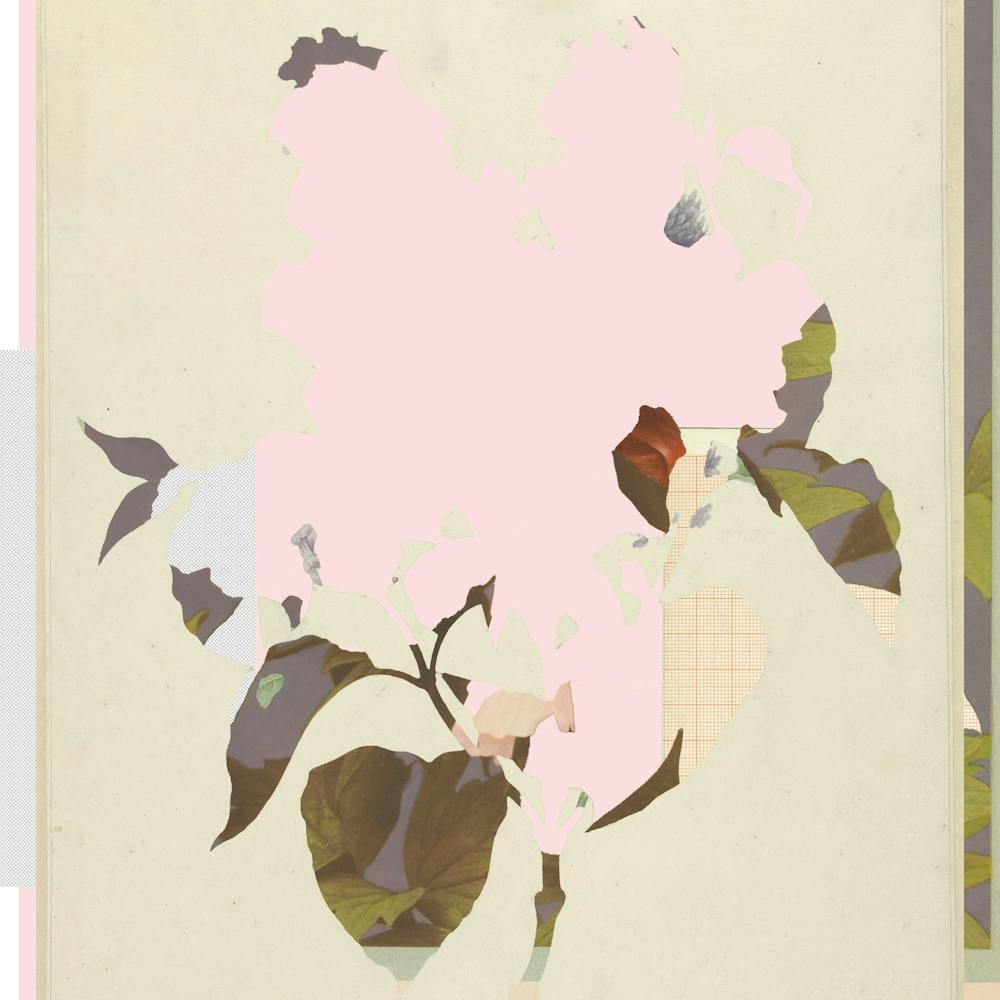 The First Plant · G