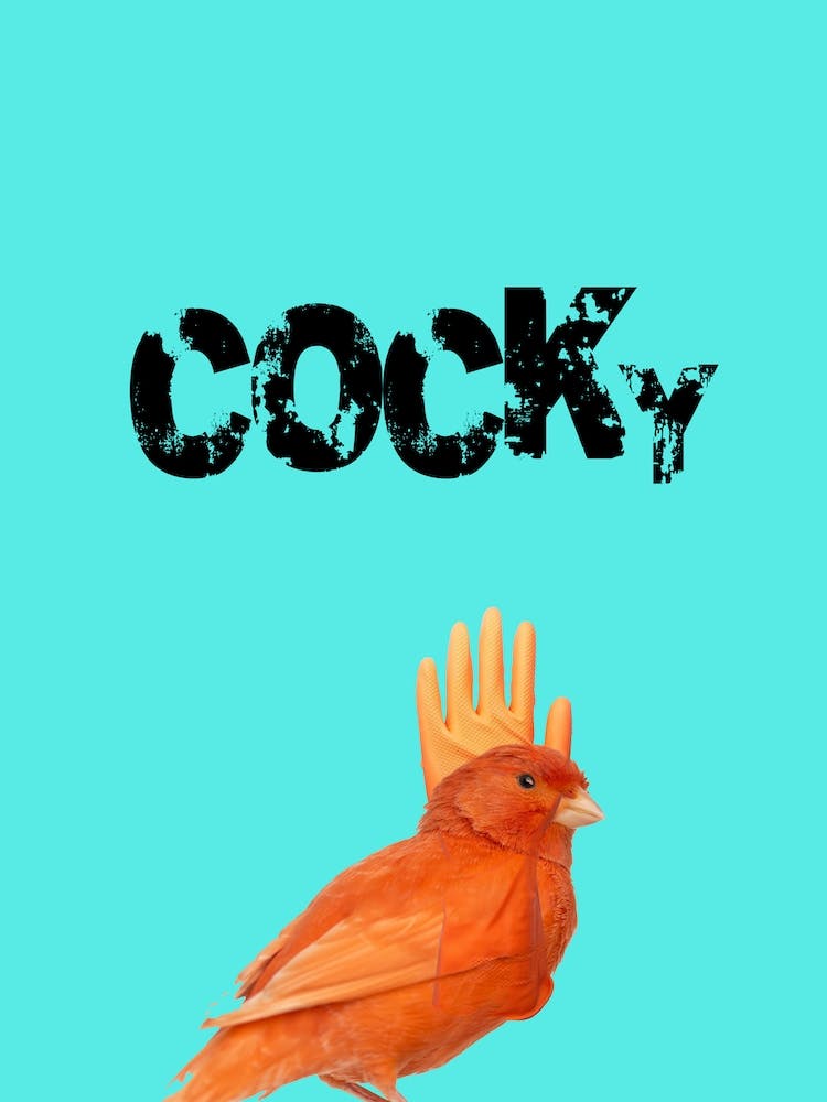 Cocky Bird
