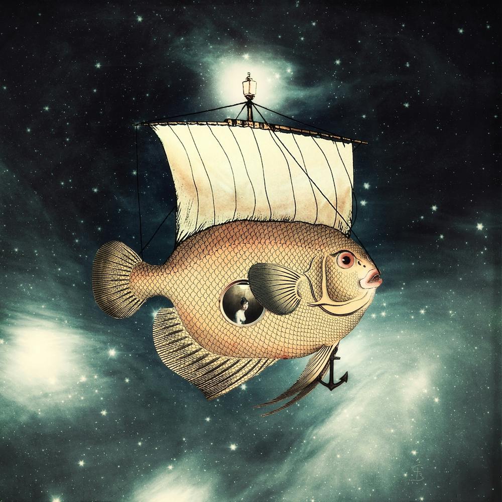 Wandering Fish Boat