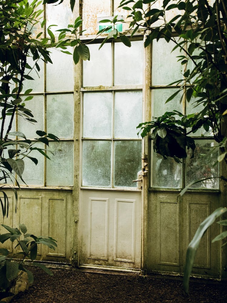 The Greenhouse Gateway