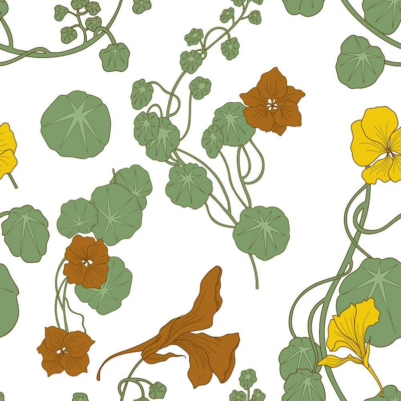 Nasturtium Flowersplant Leaves
