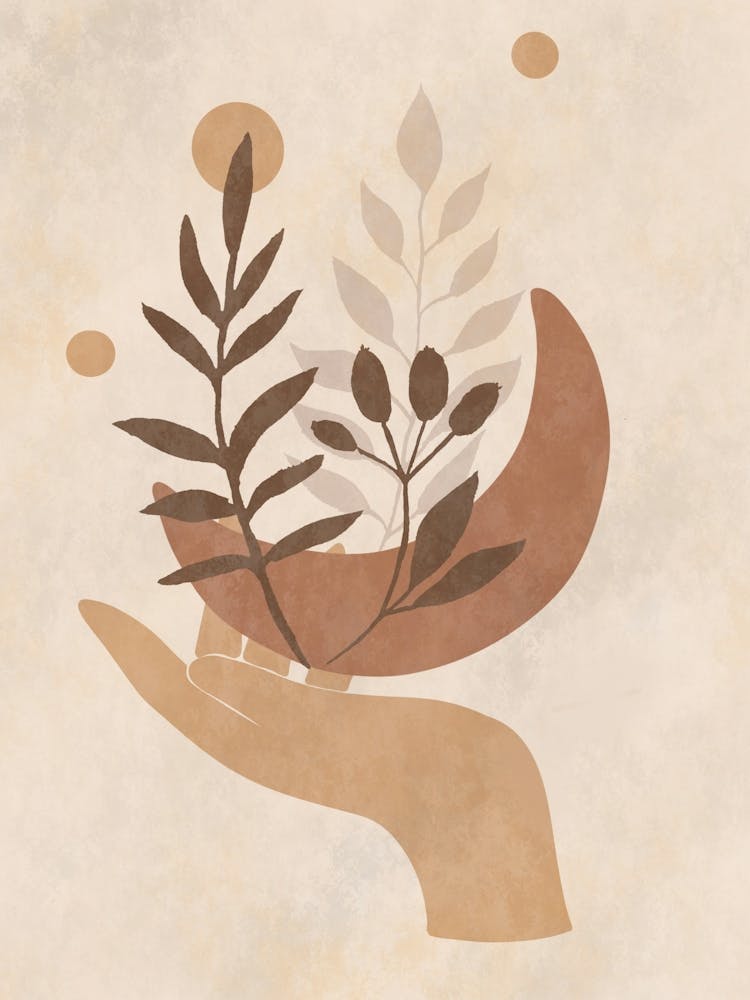 Hand Holding A Plant 2