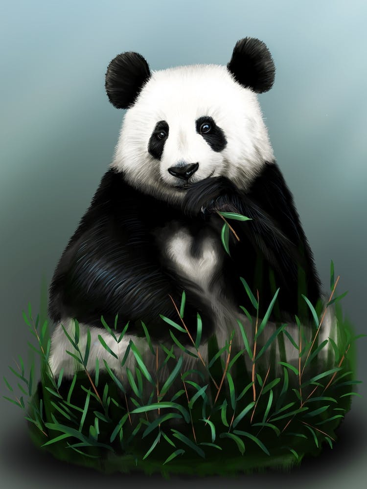 Panda eating, sitting with a bamboo branch, realistic drawing.