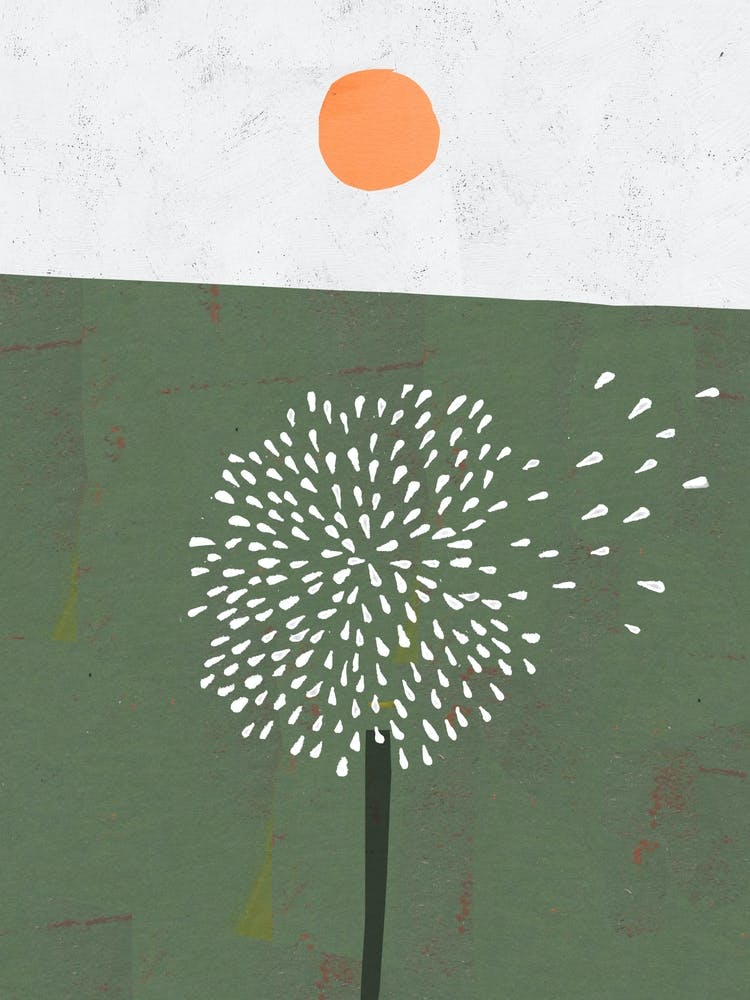 Dandelion