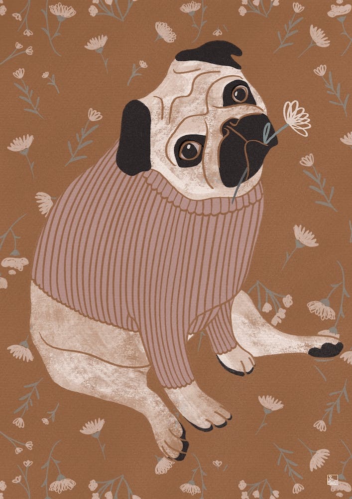 Pug With Ocher Tones