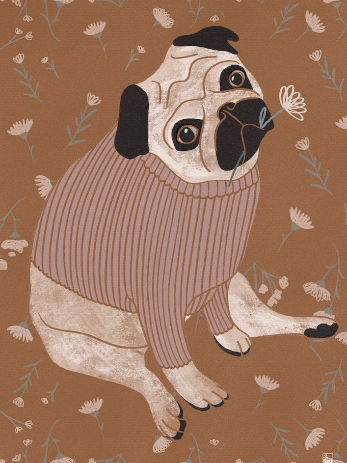 Pug With Ocher Tones