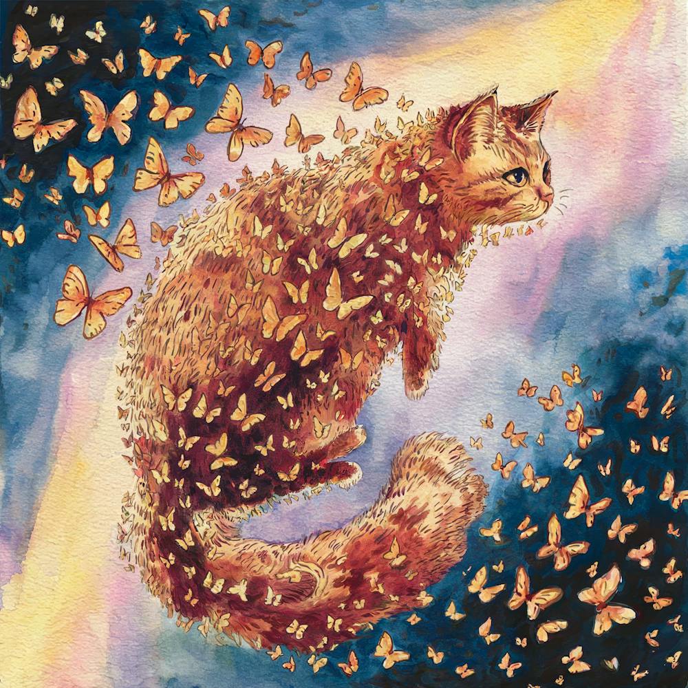 Cat With Butterflies
