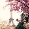 Romantic Photography Art Prints