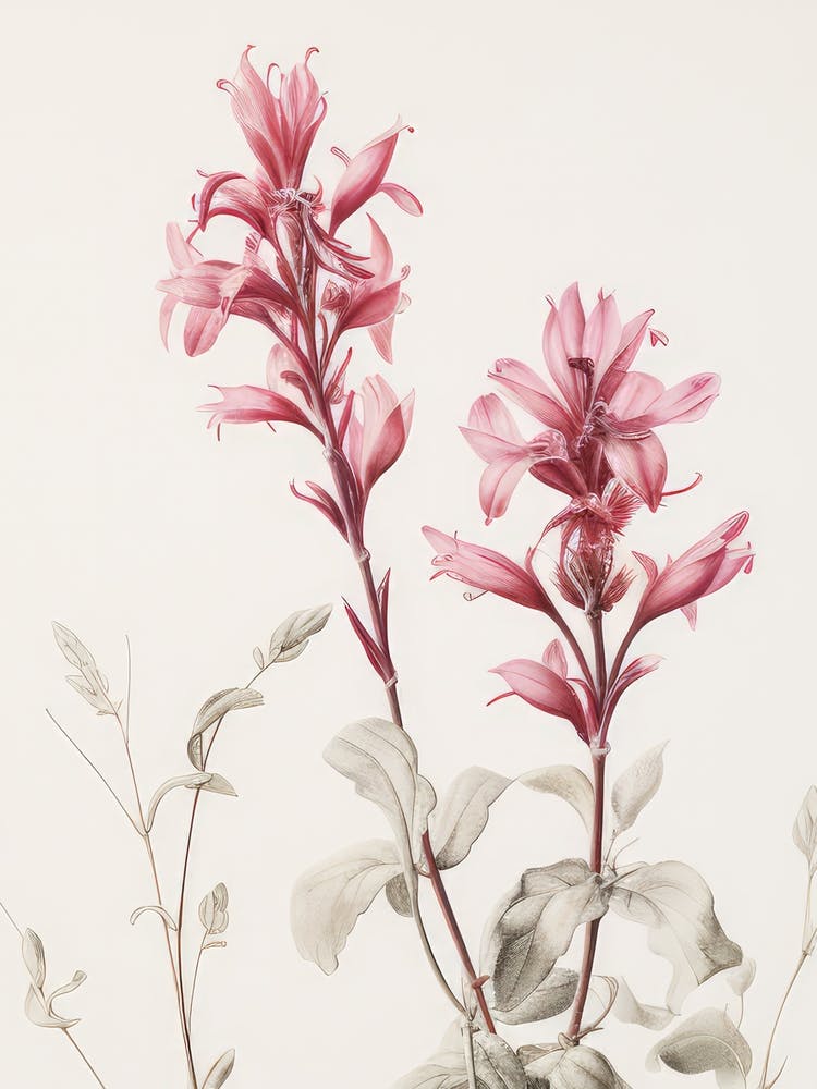 Vintage Pink Flower Blooms