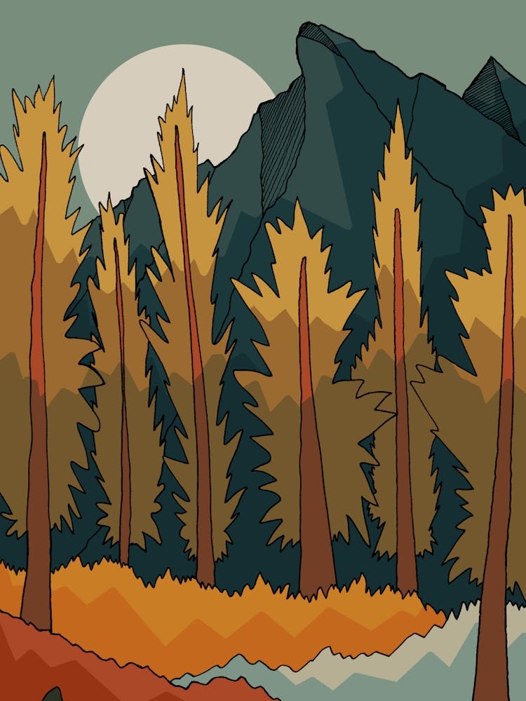 Forest Mountain Peak