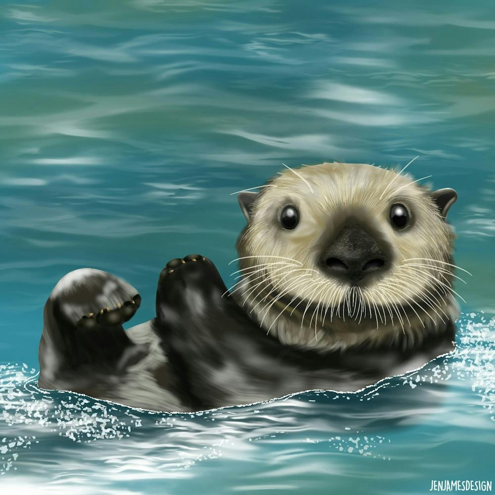 Otter