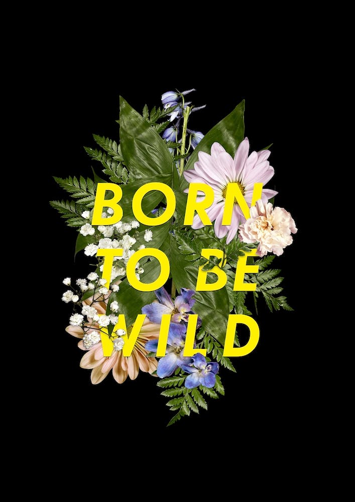 Galaxy Eyes Born To Be Wild